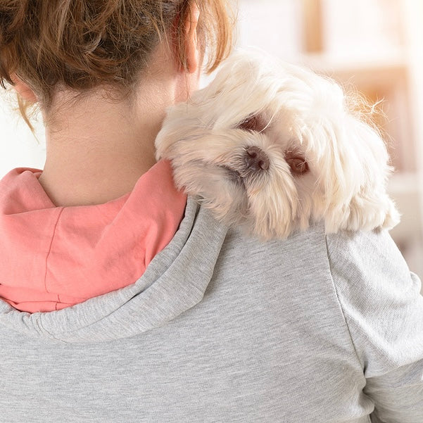 woman holding maltese dog