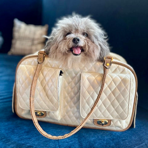 Small Dog Carrier Bag is Roomy and Stylish – Louie de Coton