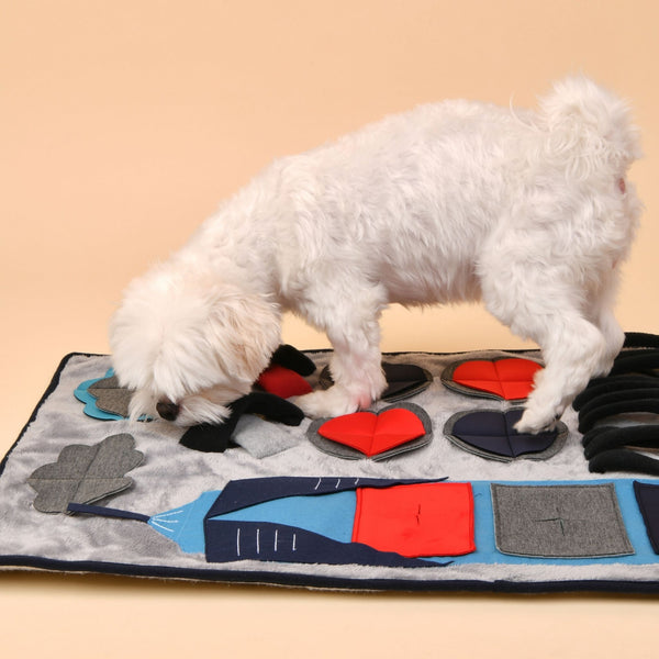 https://www.dinkydogclub.com/cdn/shop/collections/Puppia_Puptropolis_Nosework_Mat_for_Dogs_-_with_dog_model_600x.jpg?v=1612384317