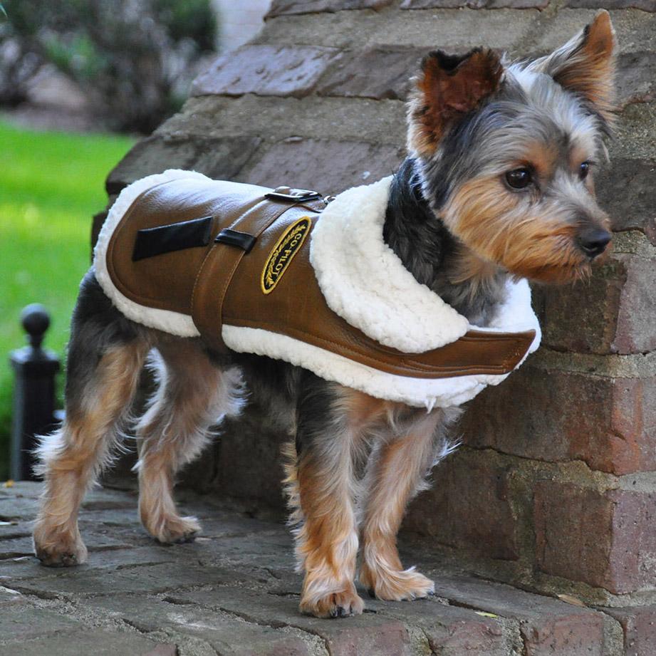 Dog jackets for small dogs best sale