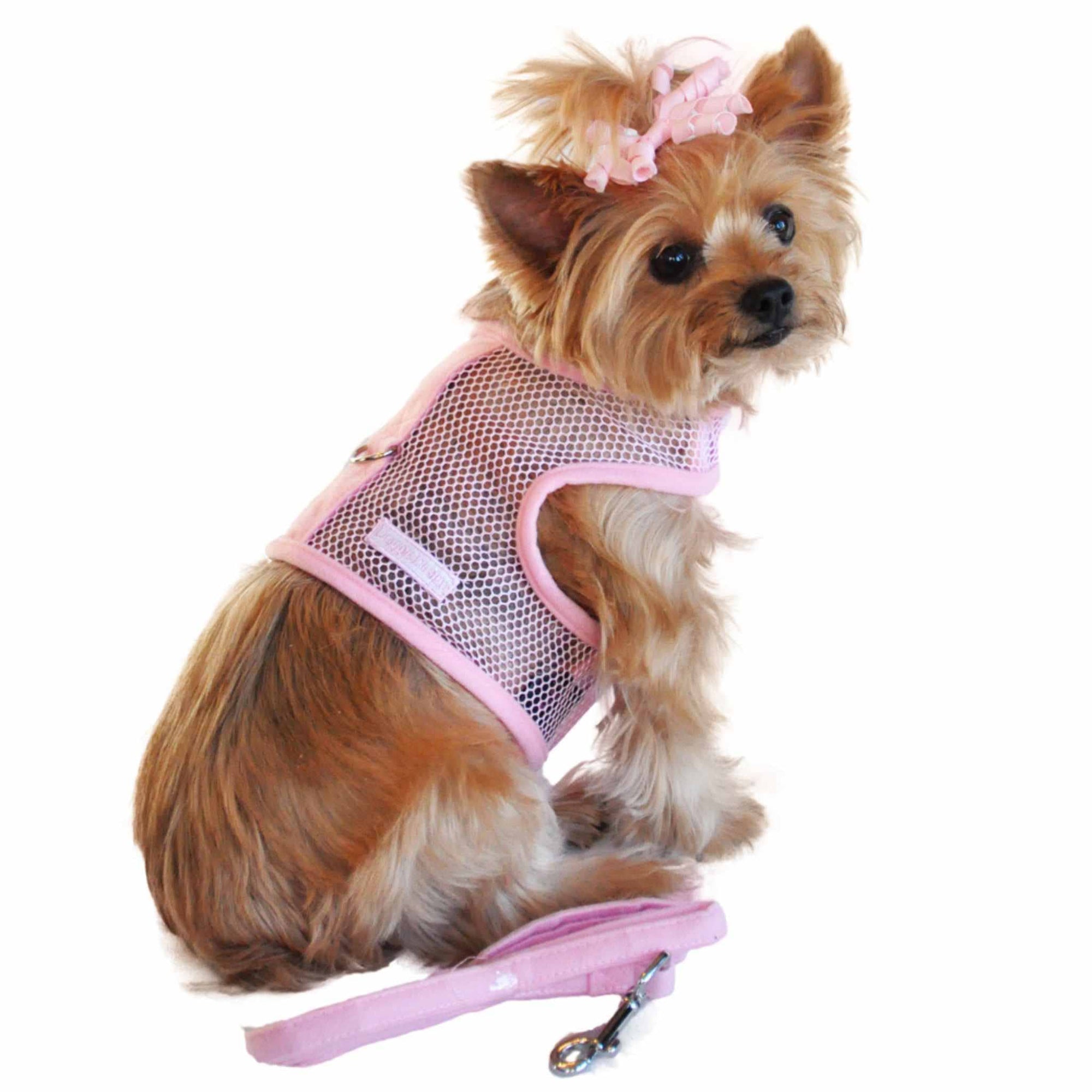 Cool mesh dog harness for small dogs - pink modeled on a Yorkie