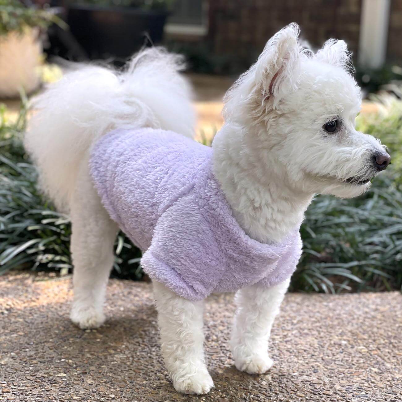 Soft Plush Pullover for Small Dogs - lavender