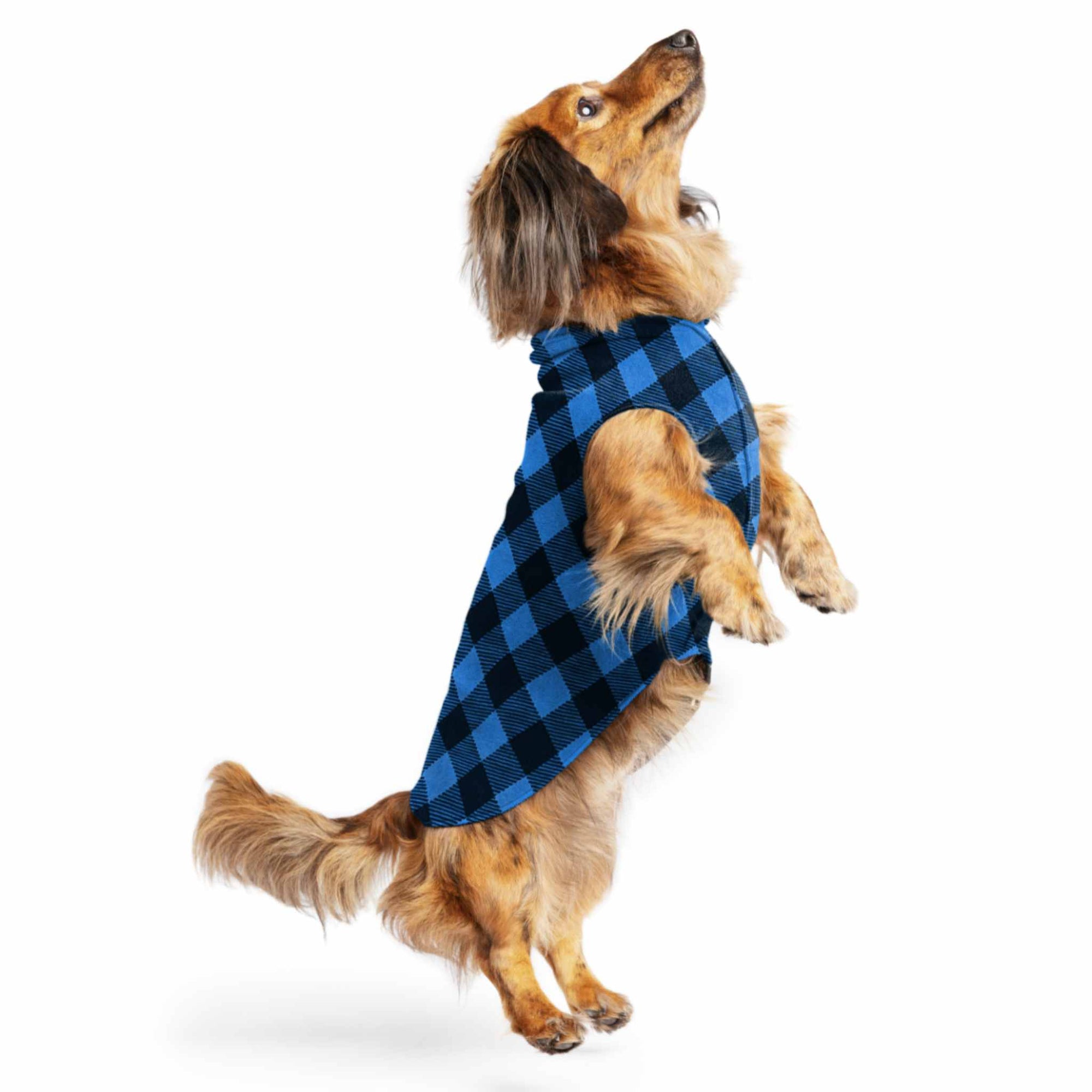 Gold Paw Stretch Fleece for Small Dogs - Plaid