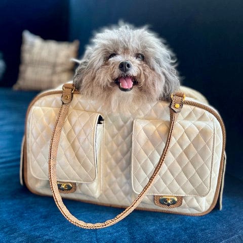 Dogs Luxury Dog Carrier Bags, Luxury Dog Bag Pet Carrier
