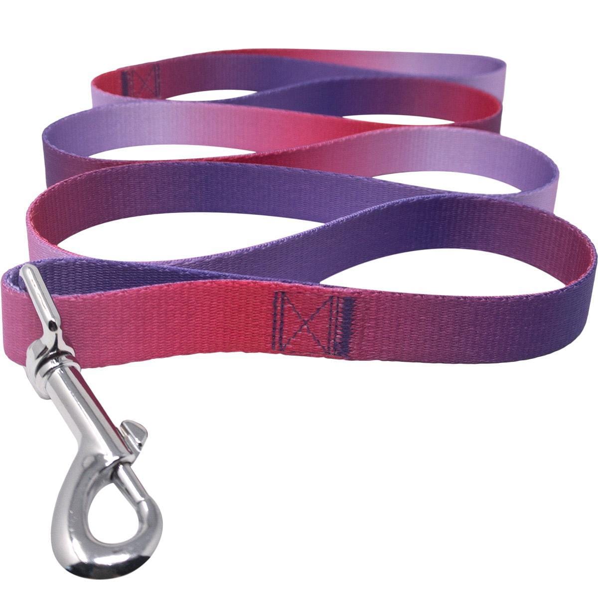 Raspberry Sundae American River Ombre Dog Leash