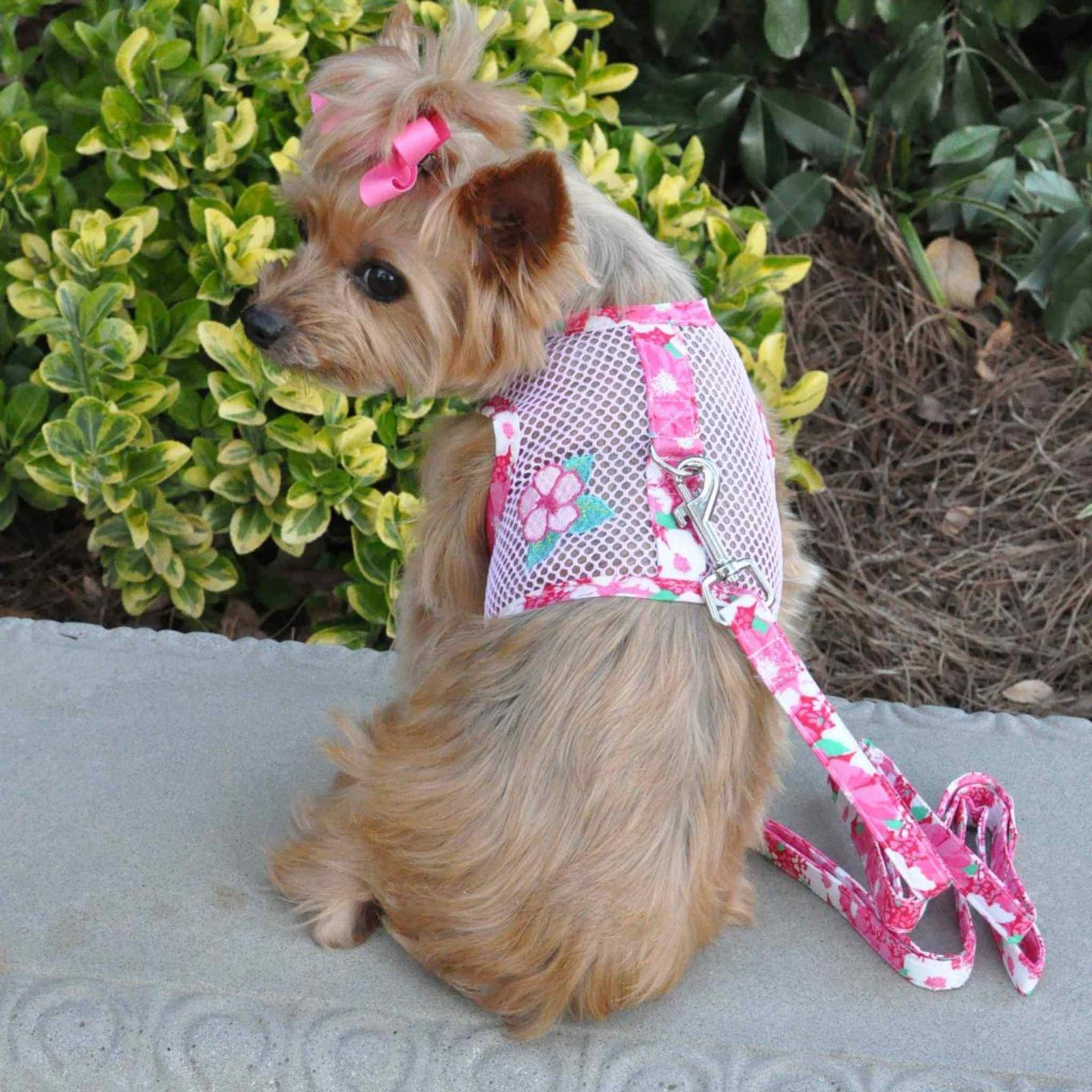 Yorkie Harnesses DinkyDogClub