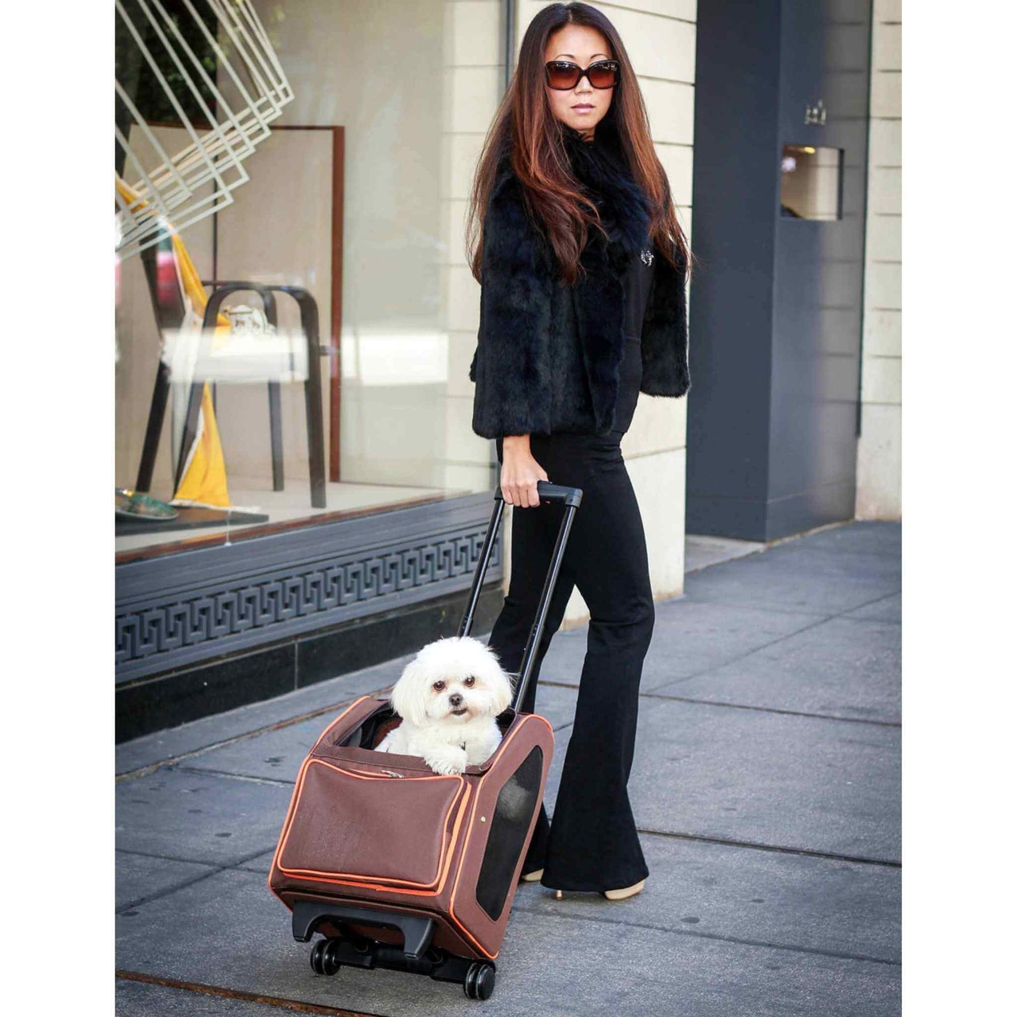 Petote Rio Wheeled Dog Carrier - with a white dog