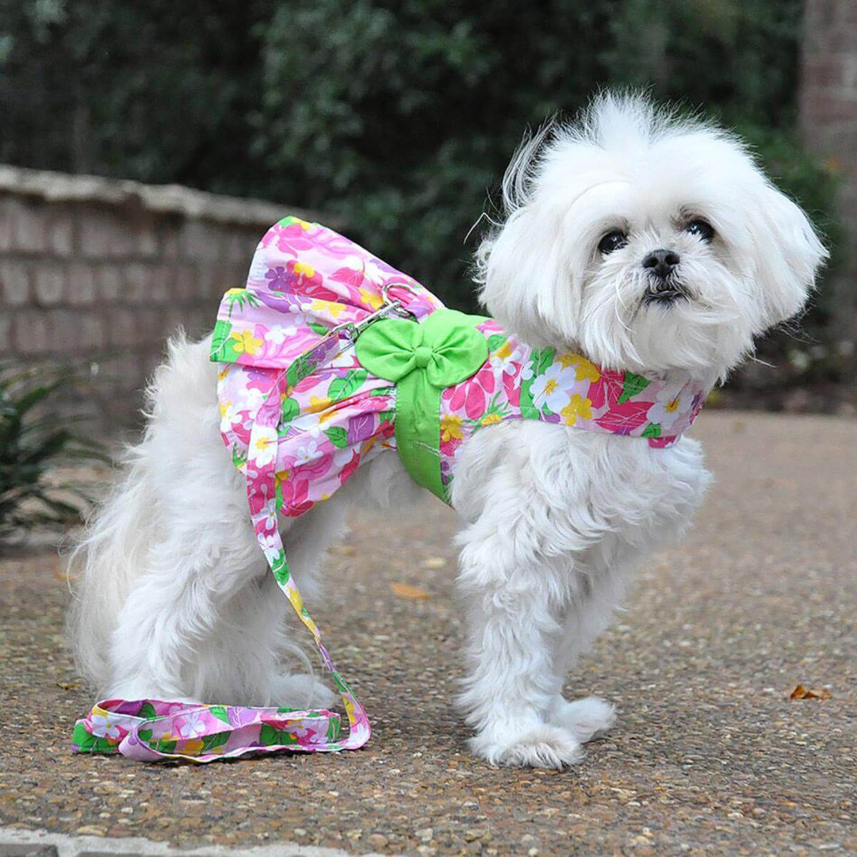 American Girl Dog Dress