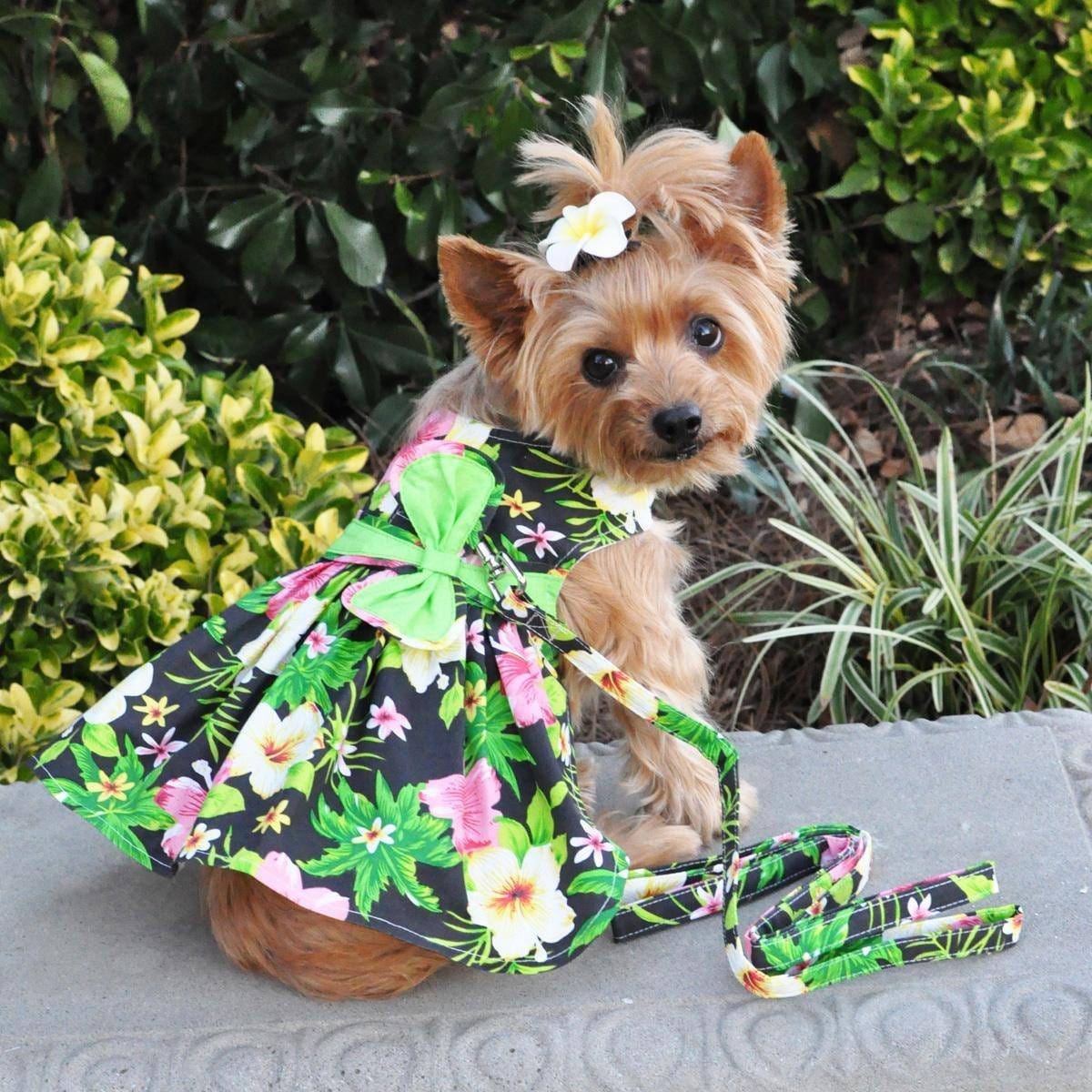 Dog outfits 2024 for girls