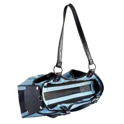 ISO small dog carrier  Small dog carrier, Dog carrier, Small dogs